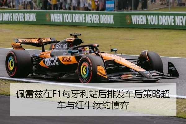pei-lei-zi-zai-xiong-ya-li-zhan-hou-pai-fa-che-hou-ce-lve-chao-che-yu-hong-niu-xu-yue-bo-yi-2-719.jpg