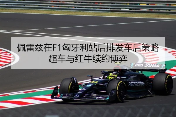 pei-lei-zi-zai-xiong-ya-li-zhan-hou-pai-fa-che-hou-ce-lve-chao-che-yu-hong-niu-xu-yue-bo-yi-3-202.jpg